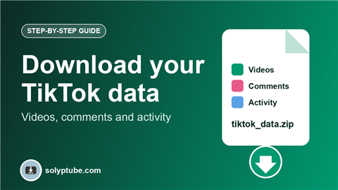 How to Download Your TikTok Data