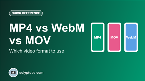 MP4 vs WebM vs MOV: Which Video Format to Use